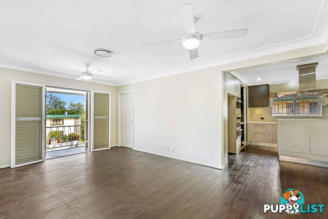 56 Nicklin Street COORPAROO QLD 4151