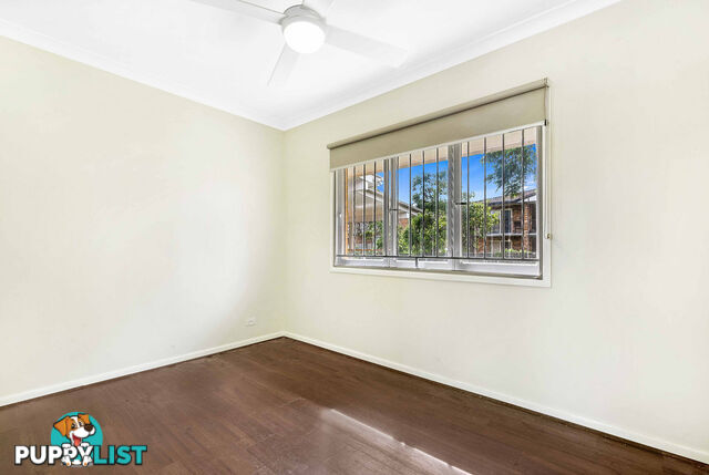 56 Nicklin Street COORPAROO QLD 4151