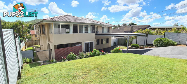 15 Gonzales Street MACGREGOR QLD 4109