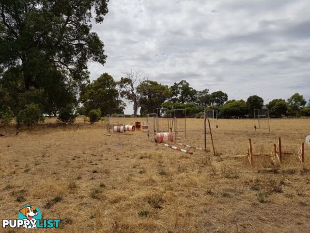 Lot 134 O'Driscoll St BAKERS HILL WA 6562