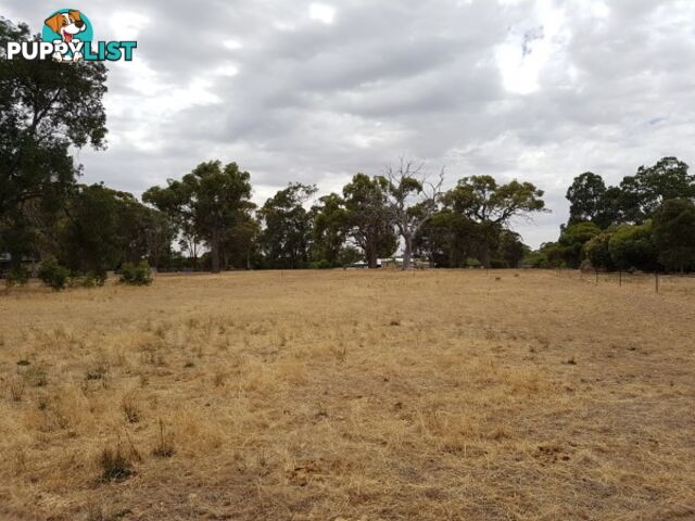 Lot 134 O'Driscoll St BAKERS HILL WA 6562