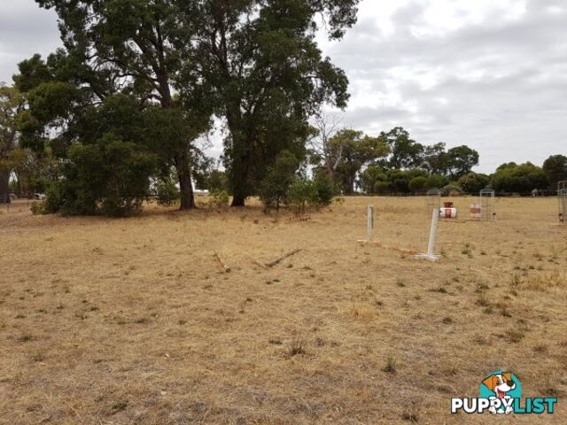 Lot 134 O'Driscoll St BAKERS HILL WA 6562