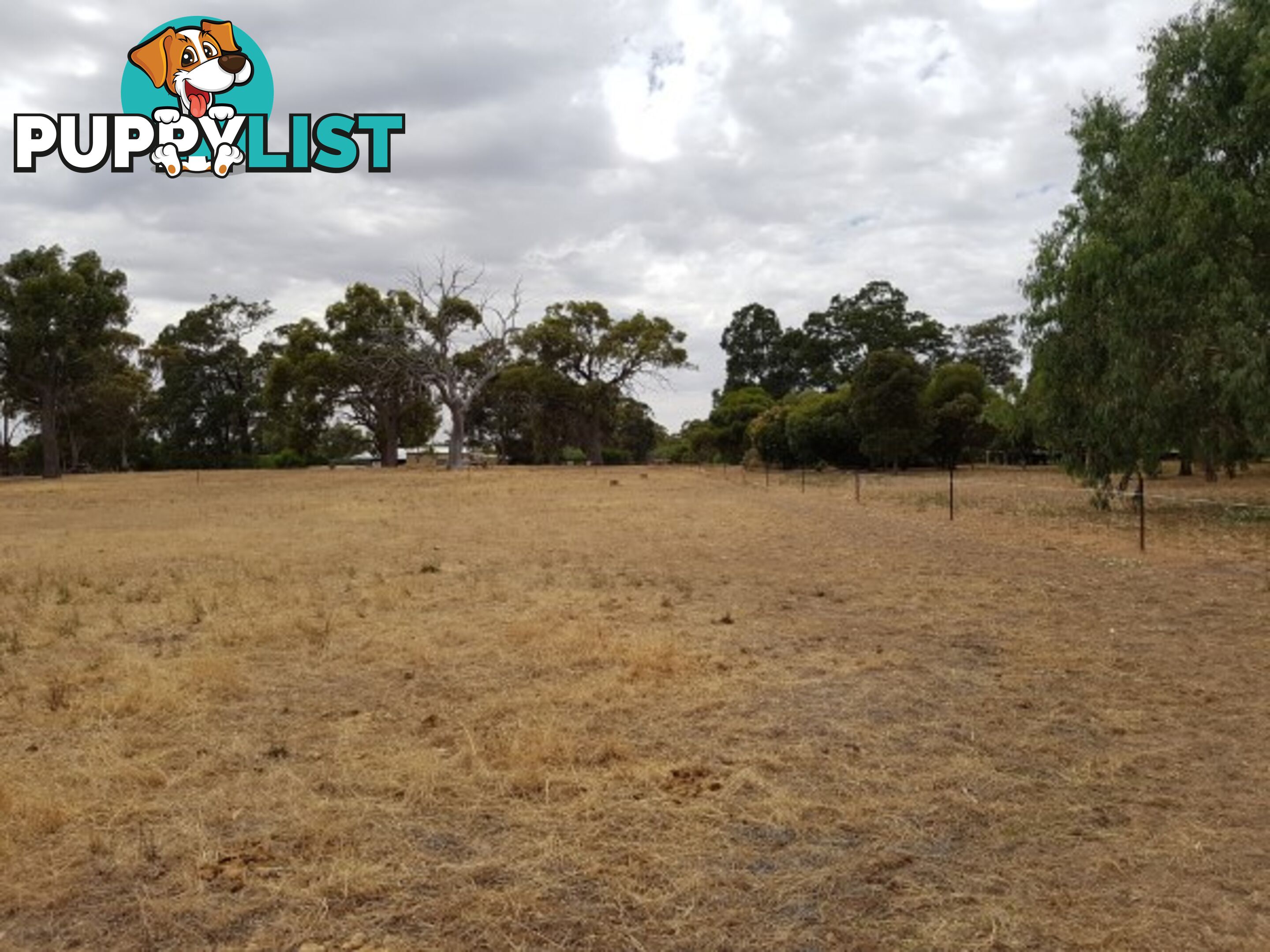 Lot 134 O'Driscoll St BAKERS HILL WA 6562