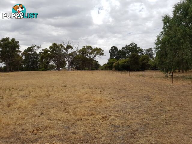 Lot 134 O'Driscoll St BAKERS HILL WA 6562