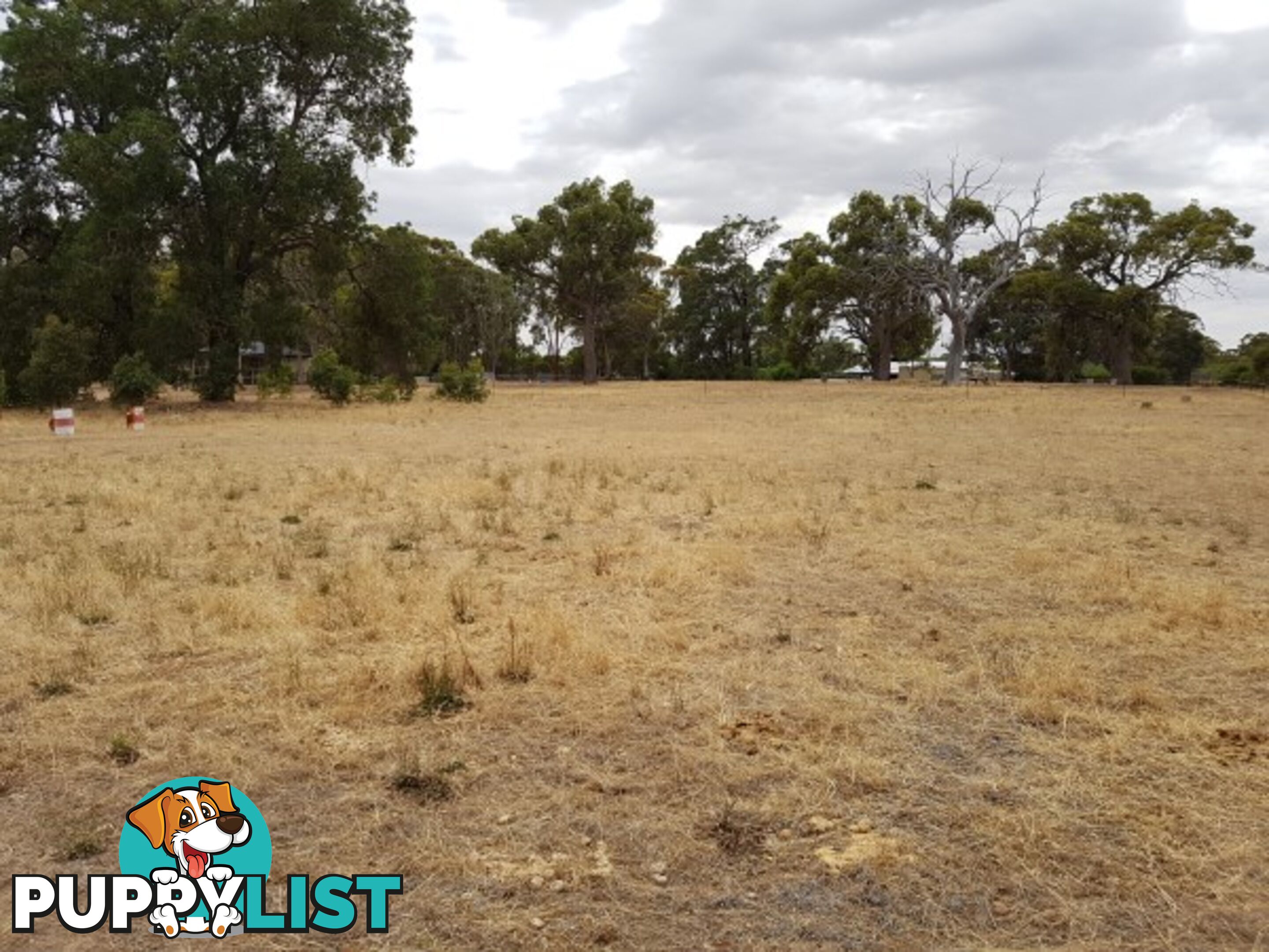 Lot 134 O'Driscoll St BAKERS HILL WA 6562