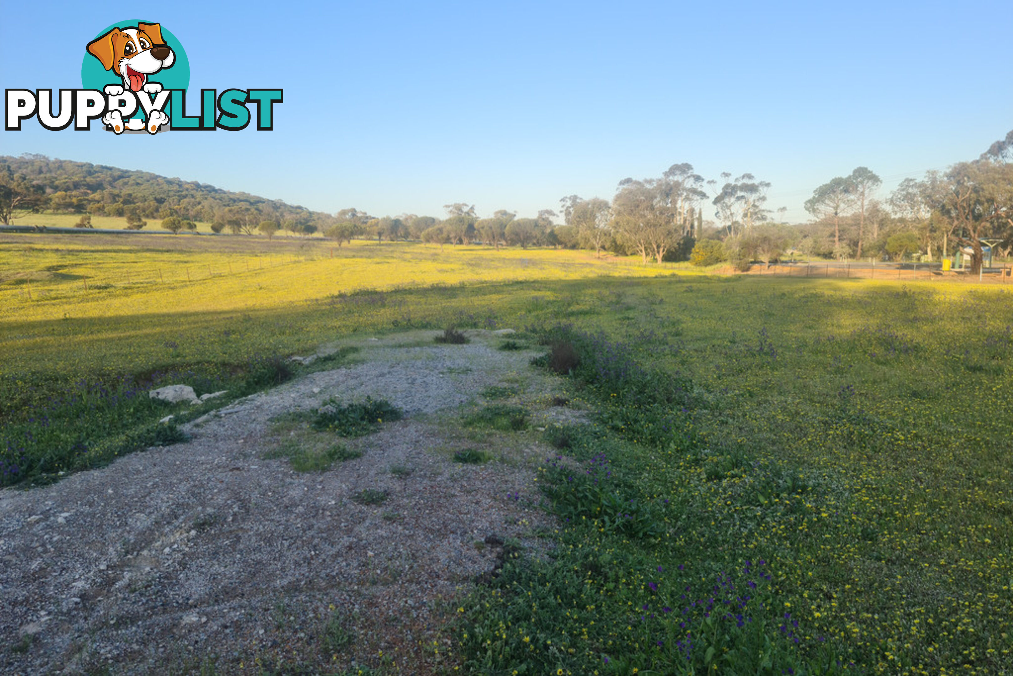 Lot 459 Mitchell Ave NORTHAM WA 6401