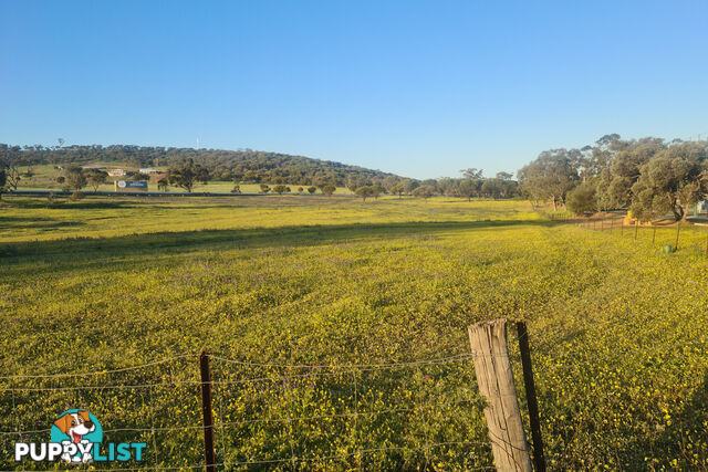 Lot 459 Mitchell Ave NORTHAM WA 6401