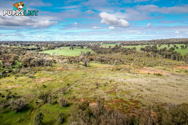 118 Oyston Road COPLEY WA 6562