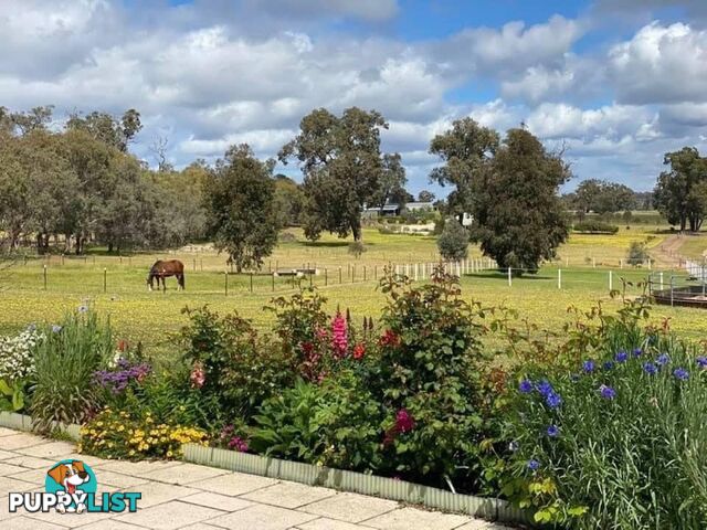 Lot 322 Glenmore Drive BAKERS HILL WA 6562