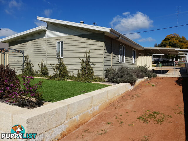 42 Hampton Street NORTHAM WA 6401