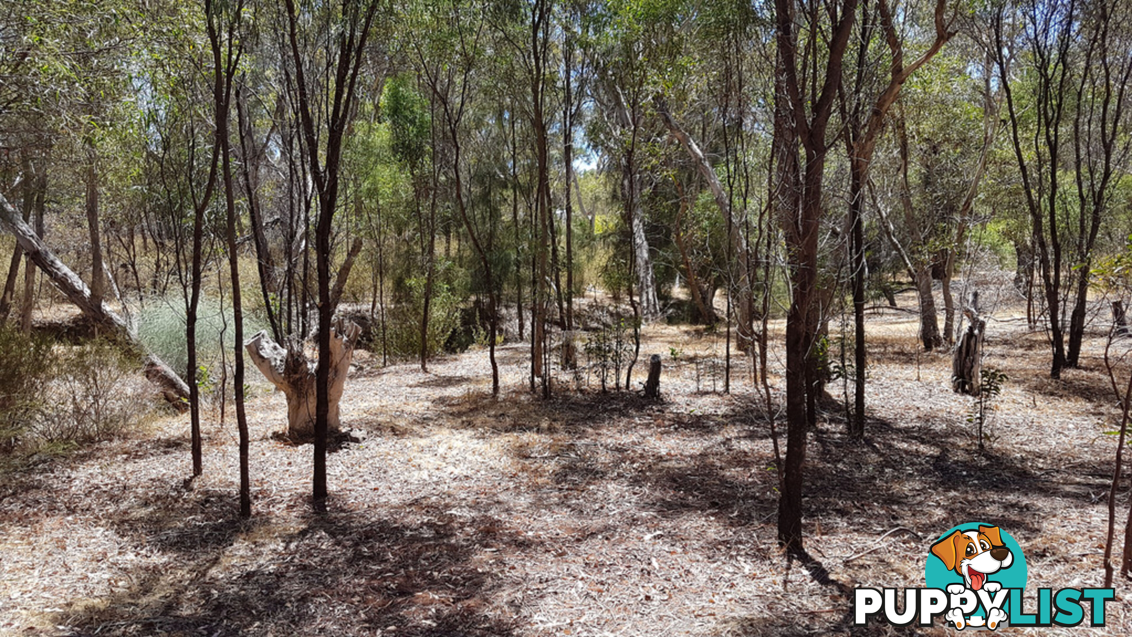 Lot 5 Clackline Road CLACKLINE WA 6564