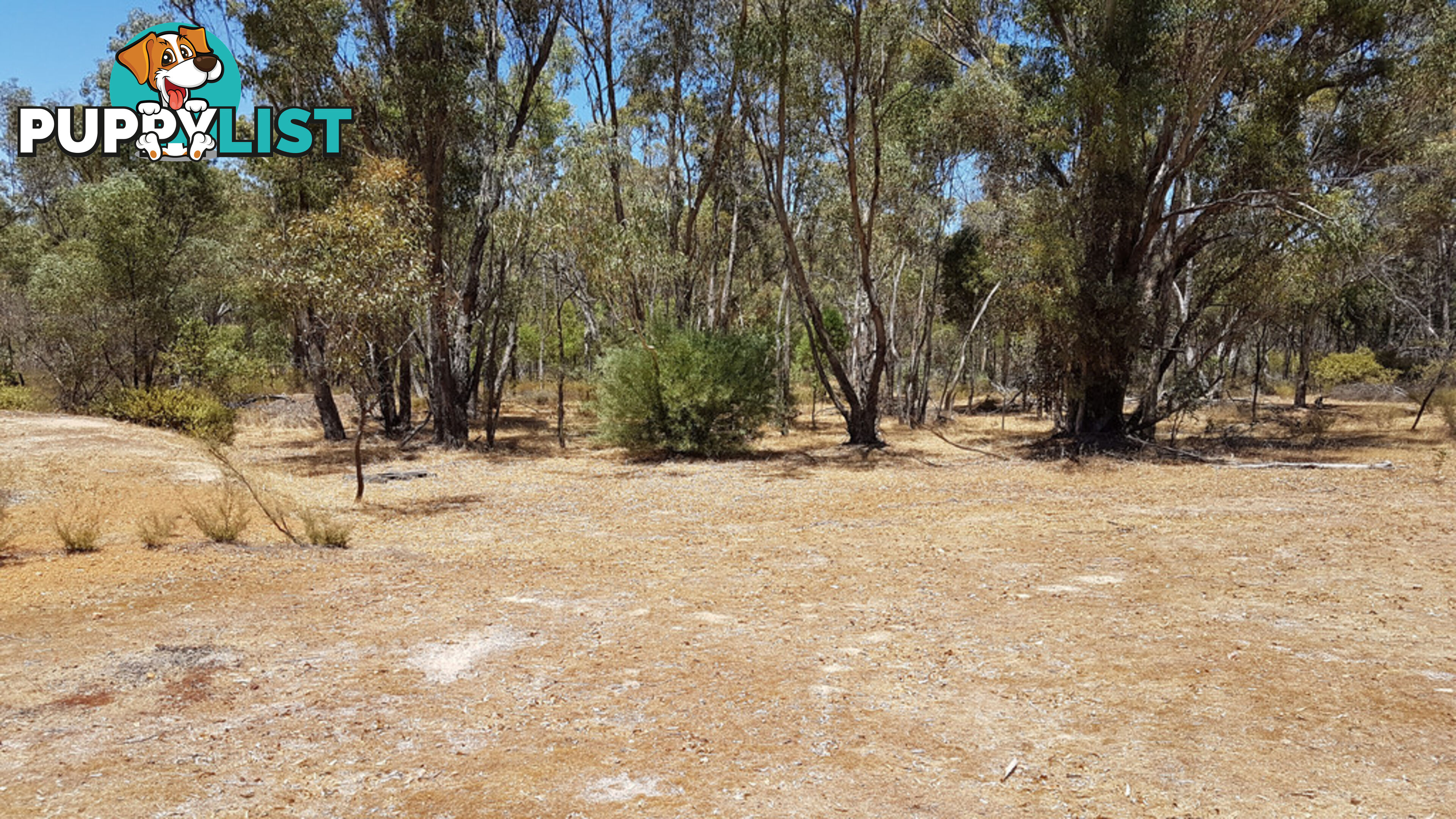 Lot 5 Clackline Road CLACKLINE WA 6564