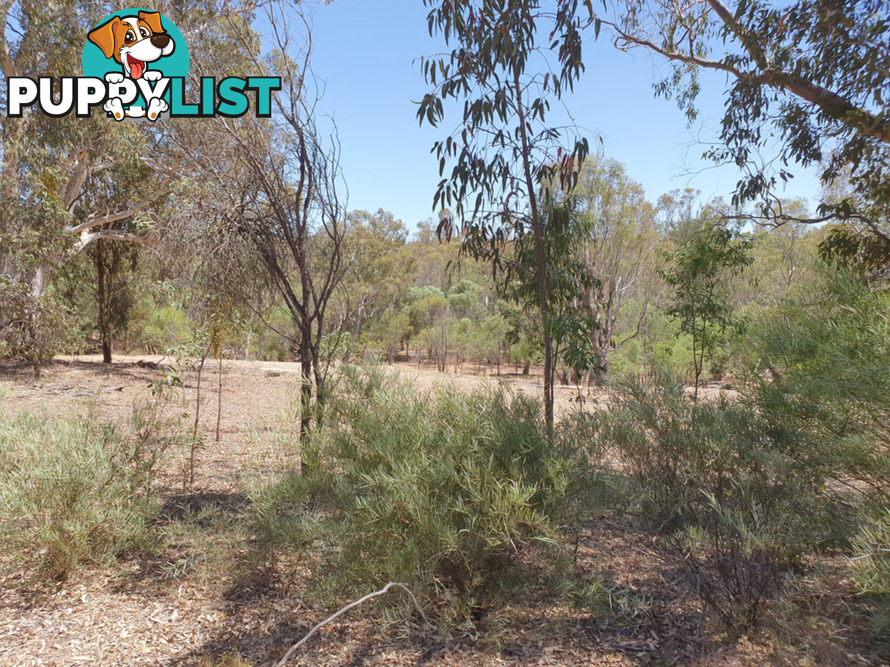 Lot 5 Clackline Road CLACKLINE WA 6564