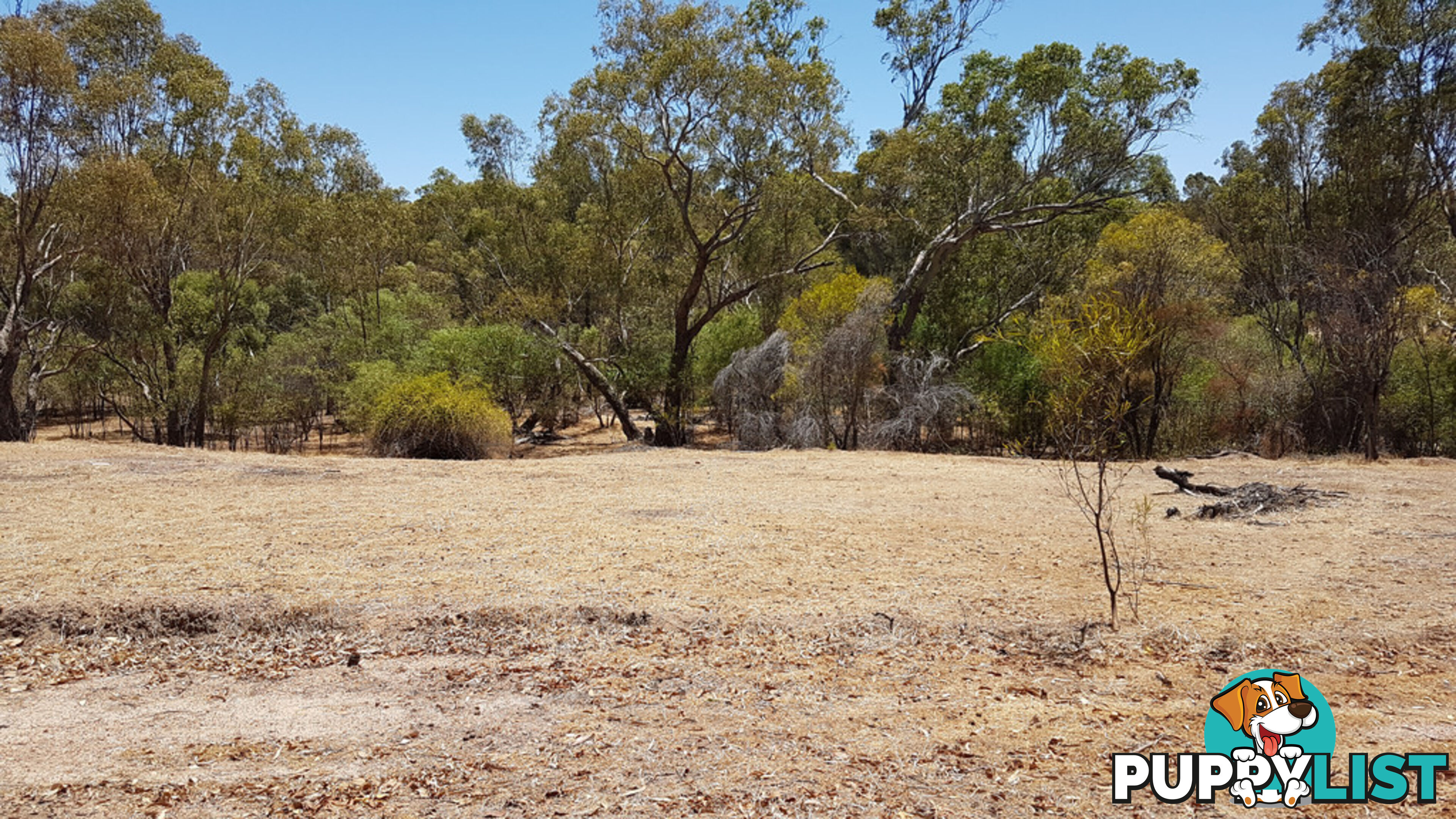 Lot 5 Clackline Road CLACKLINE WA 6564