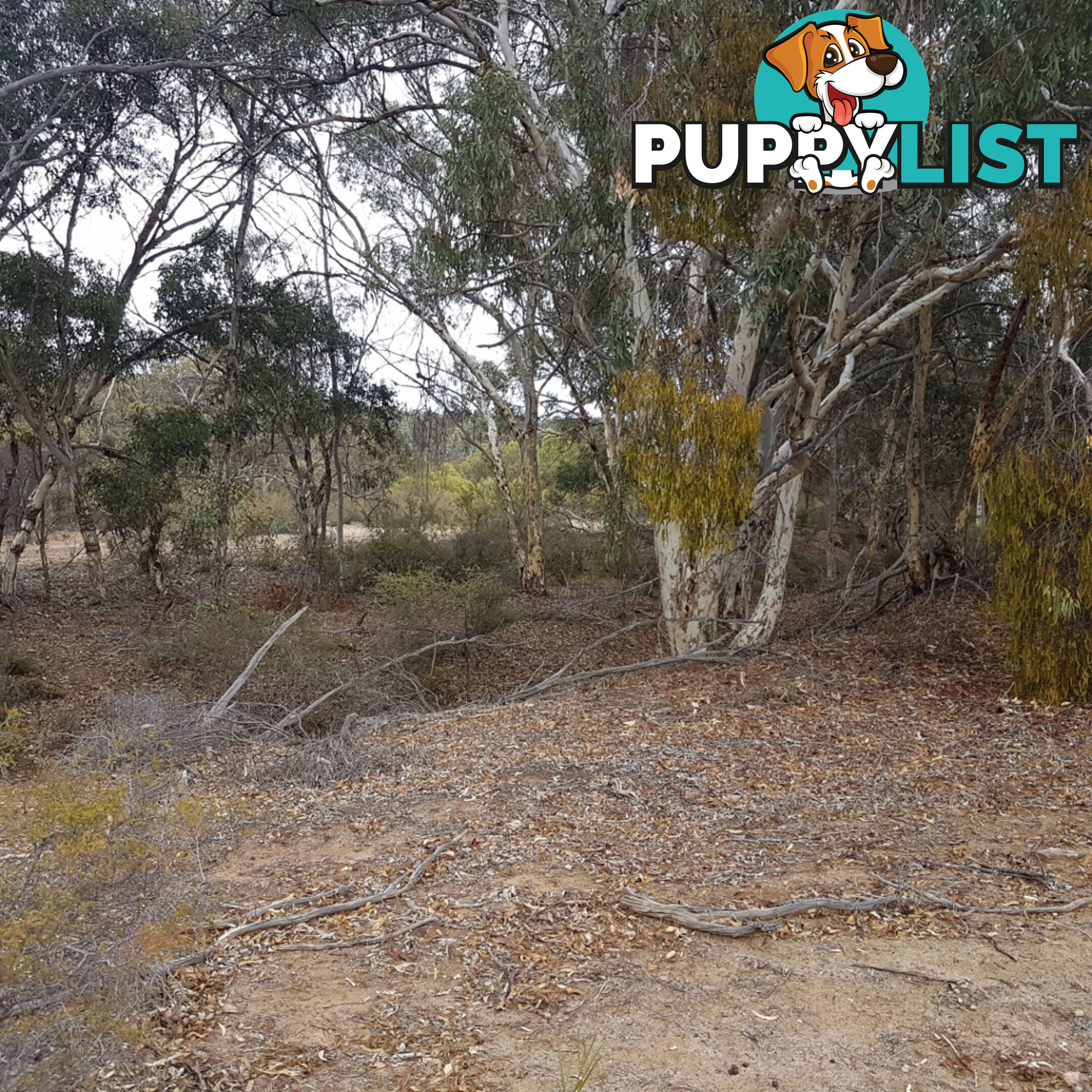 Lot 4 Paynter Road CLACKLINE WA 6564