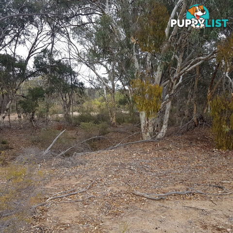 Lot 4 Paynter Road CLACKLINE WA 6564