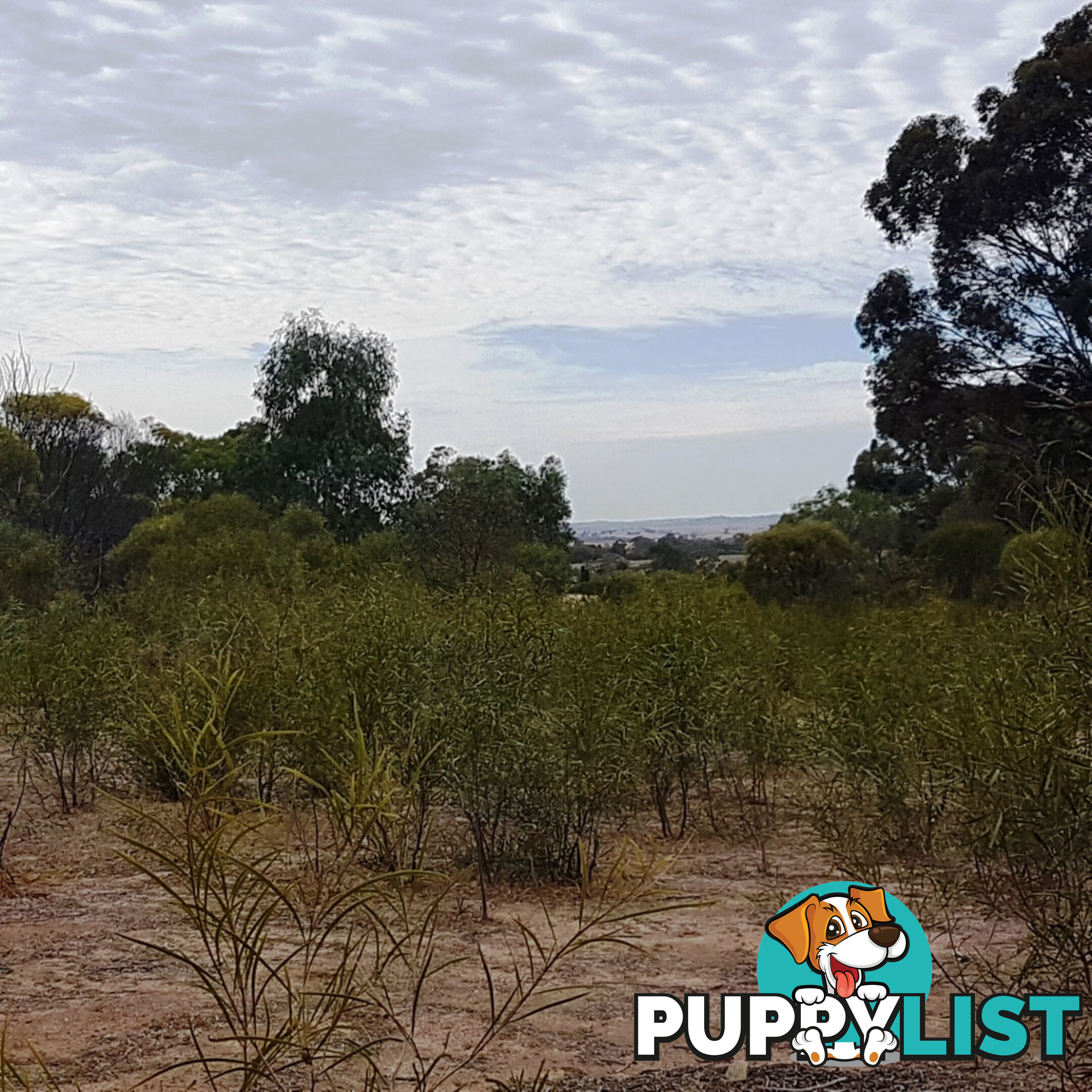 Lot 4 Paynter Road CLACKLINE WA 6564