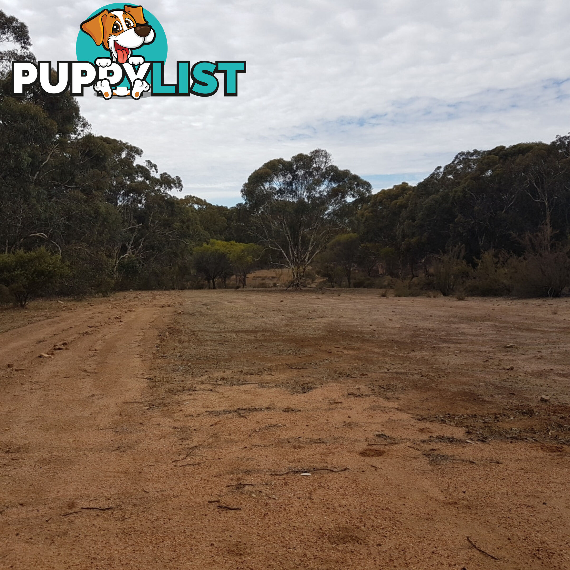 Lot 4 Paynter Road CLACKLINE WA 6564