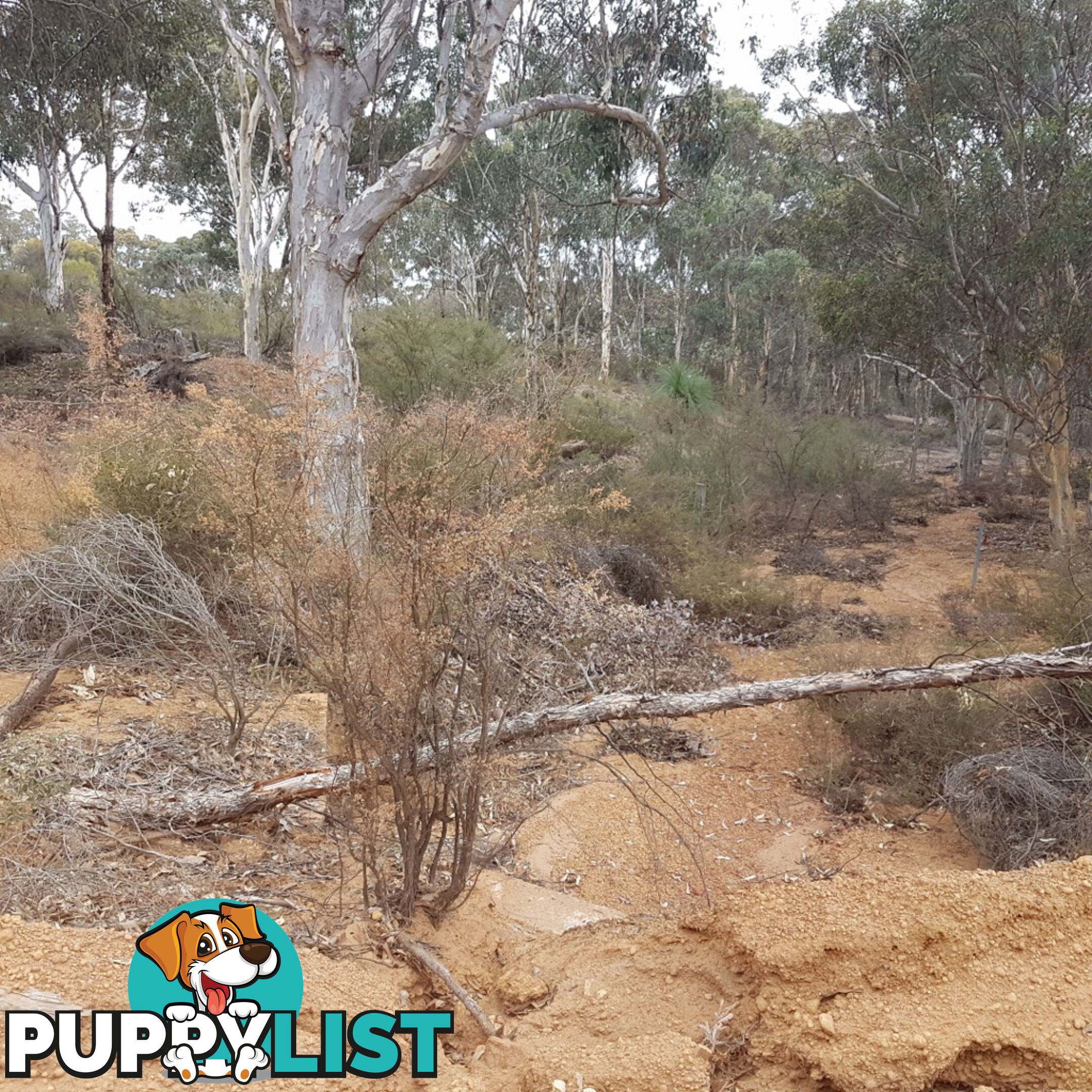 Lot 4 Paynter Road CLACKLINE WA 6564