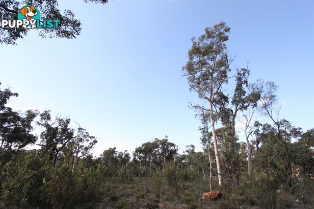 Lot 418 Woylie Rise BAKERS HILL WA 6562