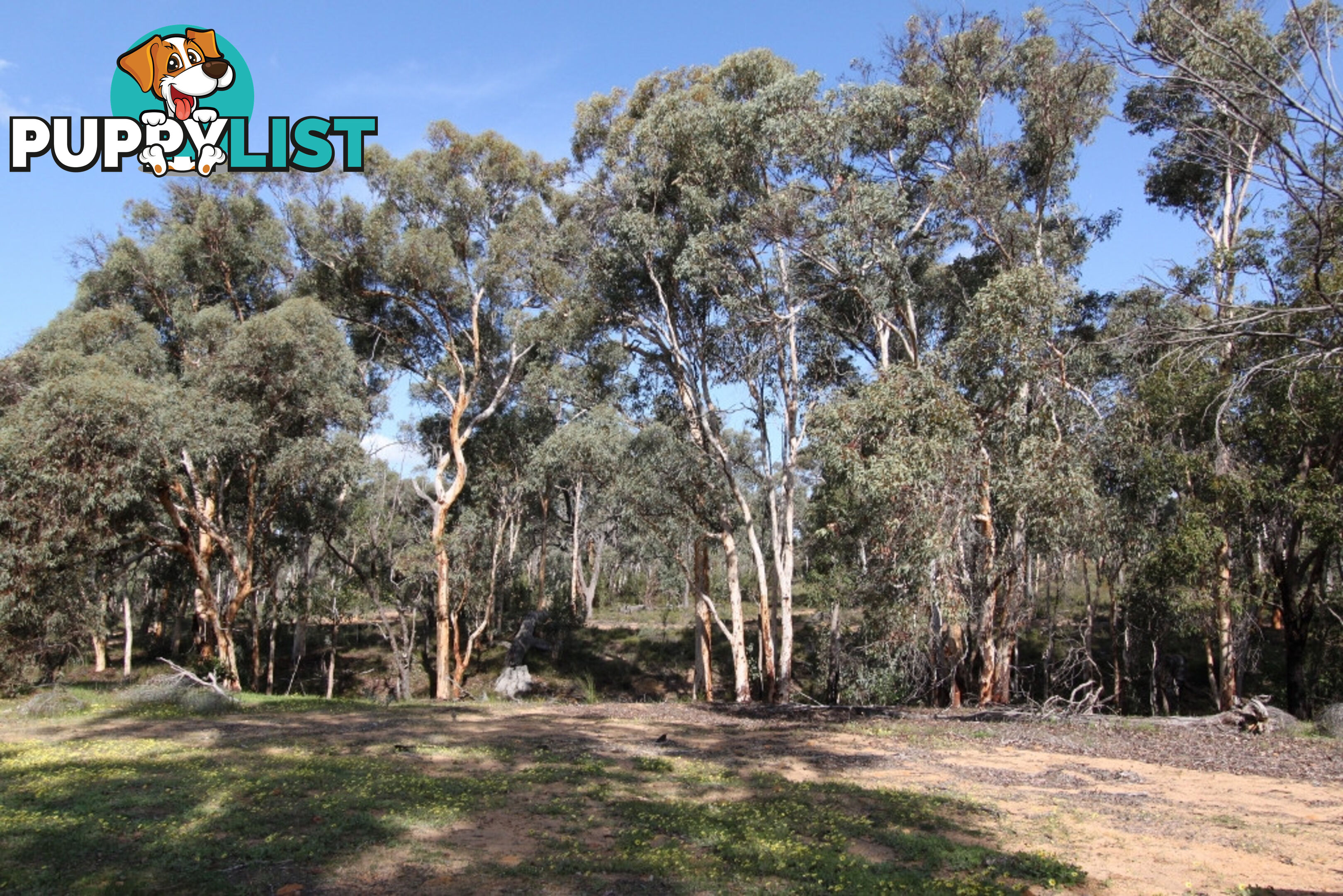 Lot 418 Woylie Rise BAKERS HILL WA 6562