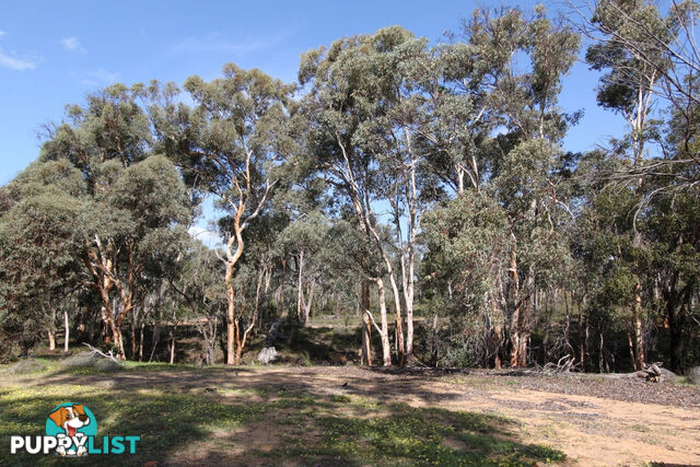 Lot 418 Woylie Rise BAKERS HILL WA 6562