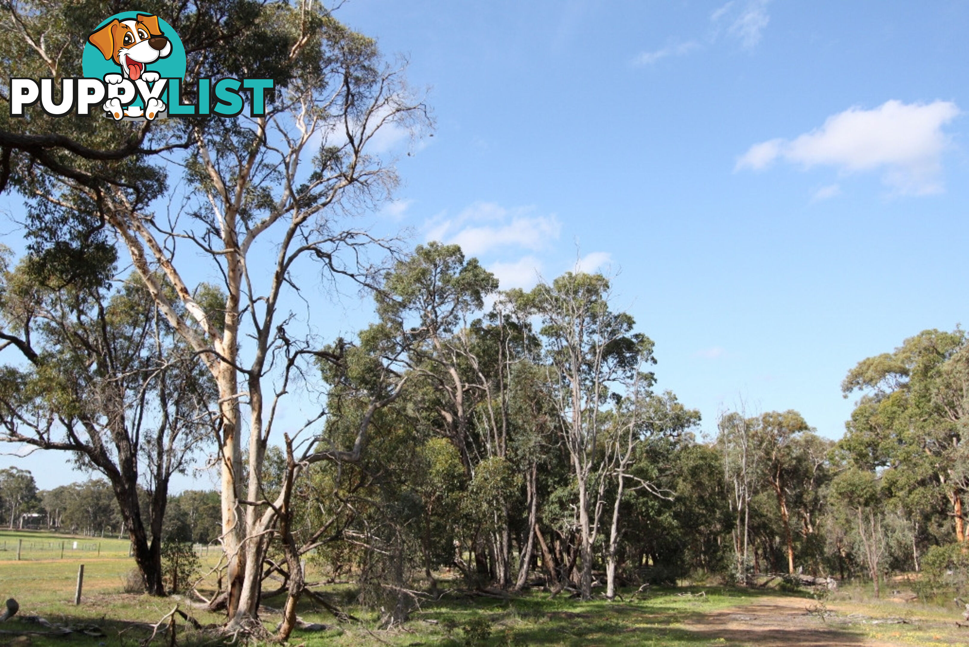 Lot 418 Woylie Rise BAKERS HILL WA 6562