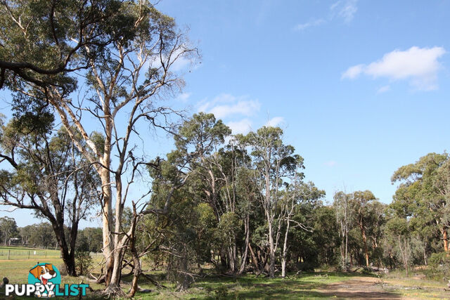 Lot 418 Woylie Rise BAKERS HILL WA 6562