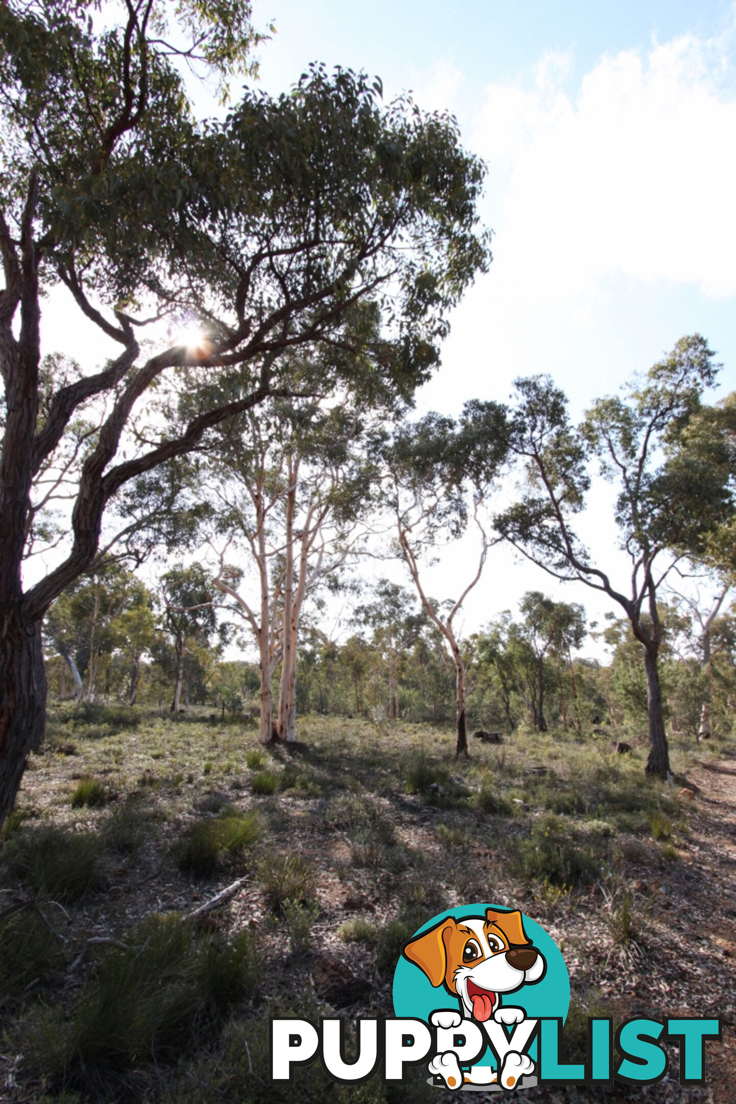 Lot 418 Woylie Rise BAKERS HILL WA 6562