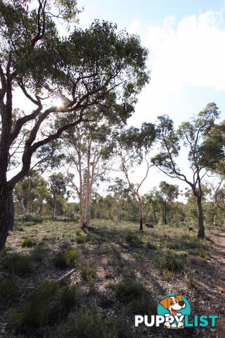 Lot 418 Woylie Rise BAKERS HILL WA 6562