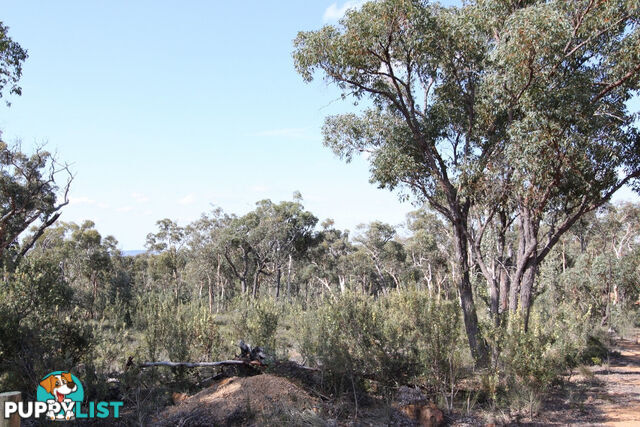 Lot 418 Woylie Rise BAKERS HILL WA 6562