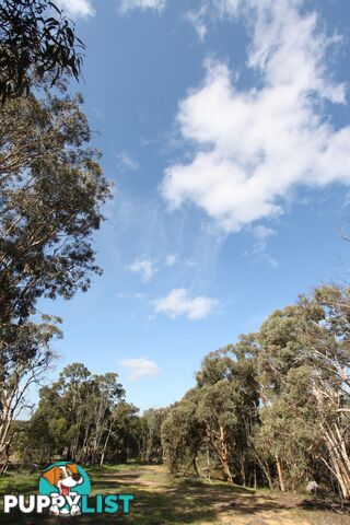 Lot 418 Woylie Rise BAKERS HILL WA 6562