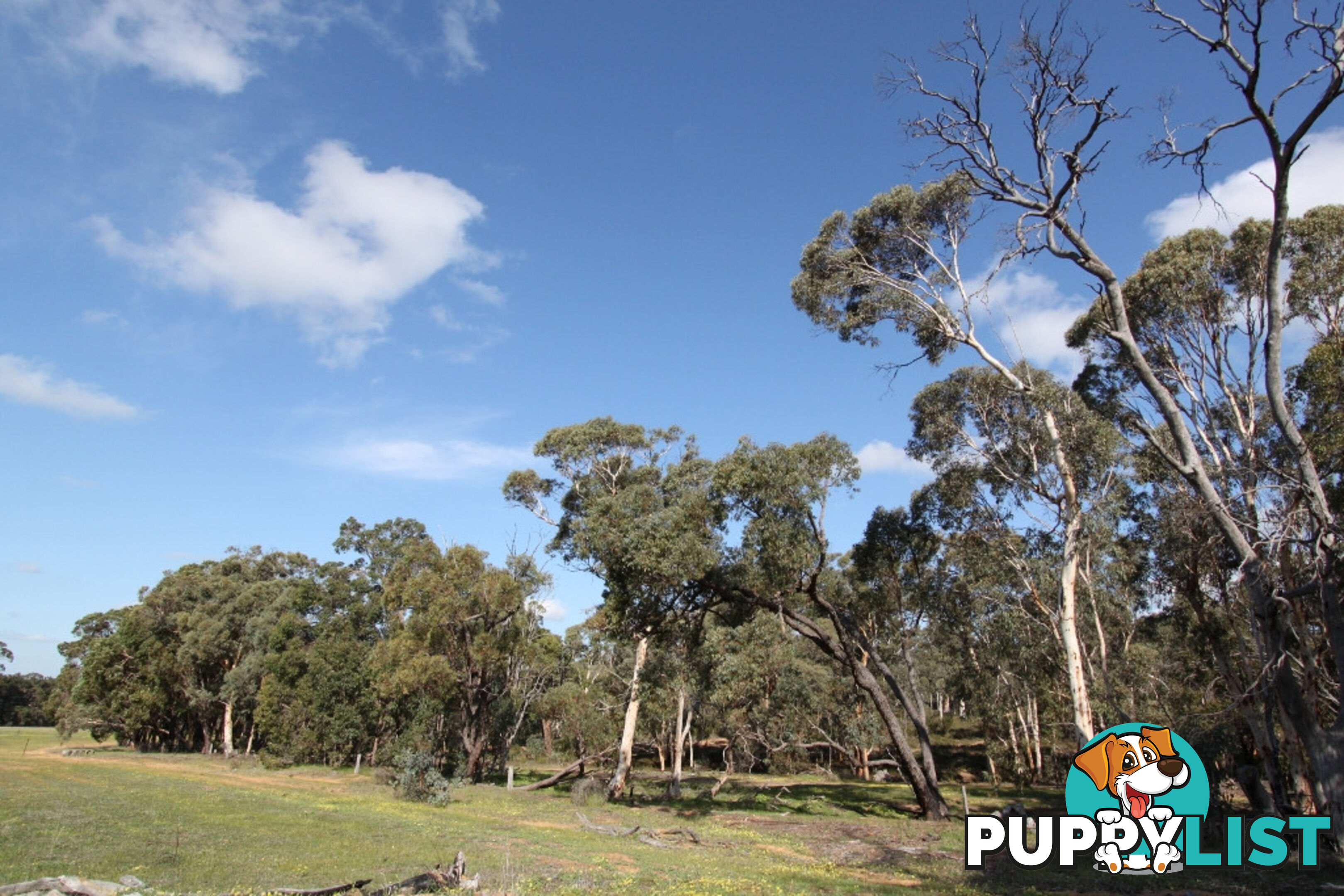 Lot 418 Woylie Rise BAKERS HILL WA 6562