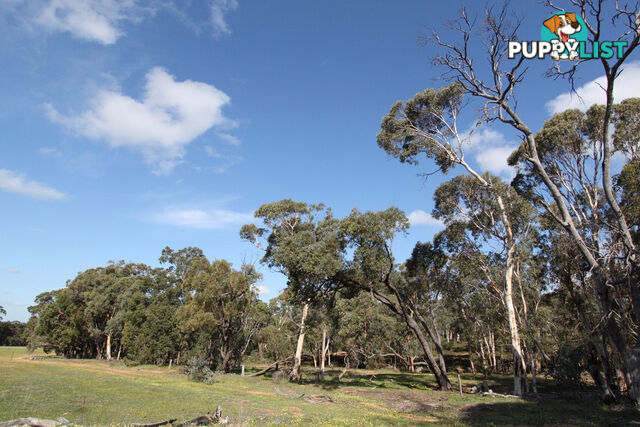 Lot 418 Woylie Rise BAKERS HILL WA 6562