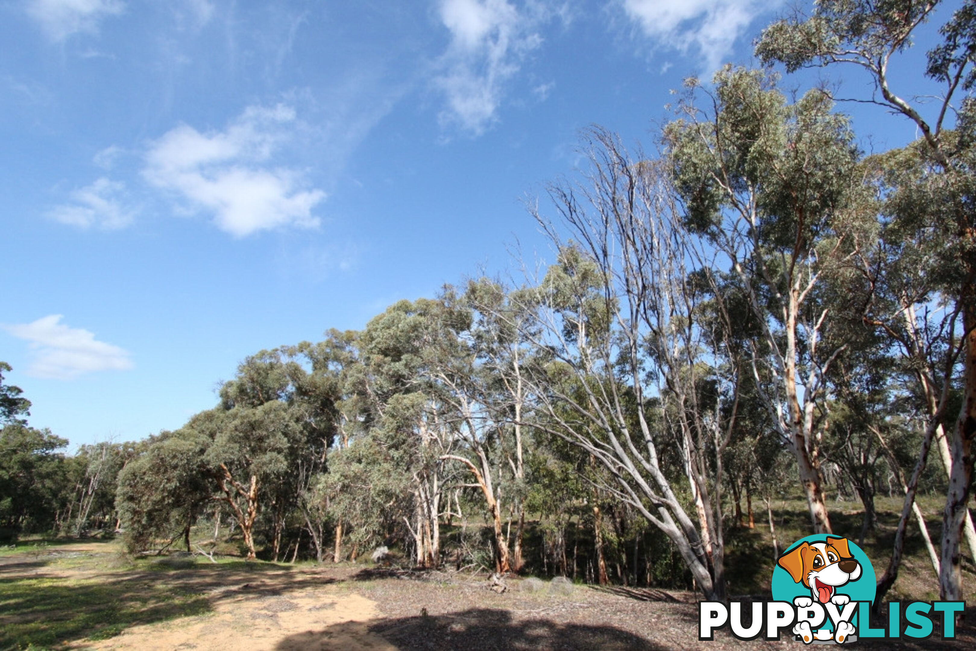 Lot 418 Woylie Rise BAKERS HILL WA 6562