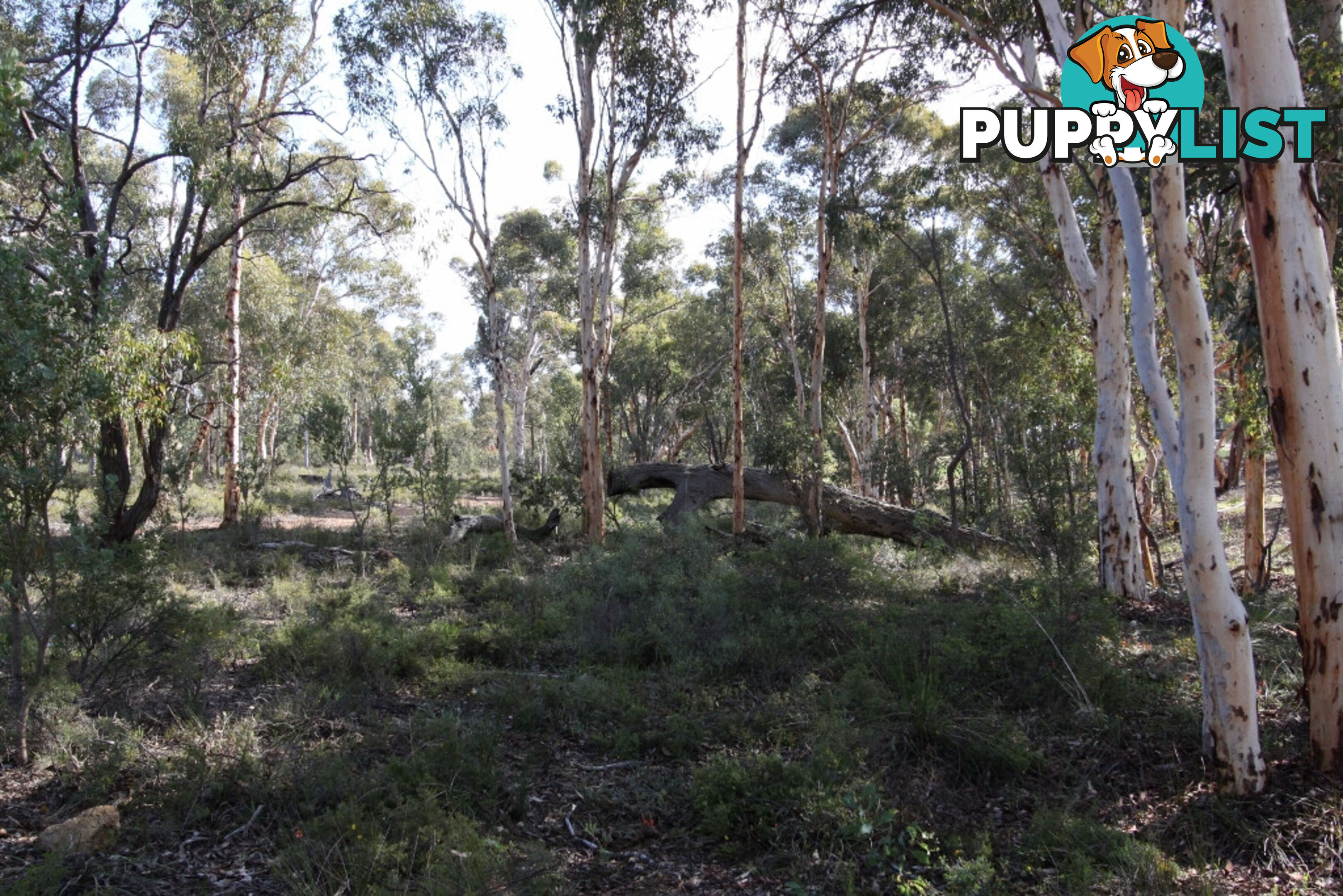 Lot 418 Woylie Rise BAKERS HILL WA 6562