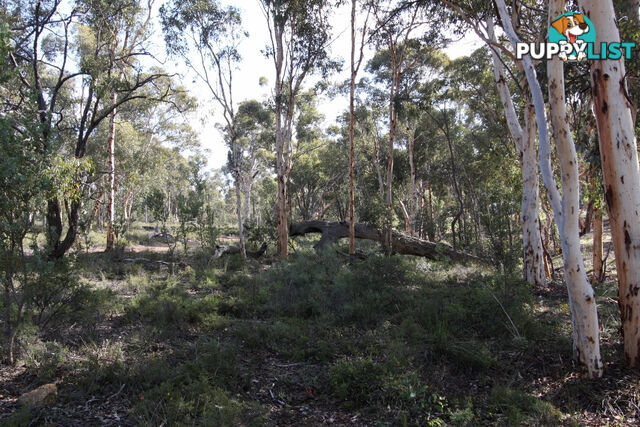 Lot 418 Woylie Rise BAKERS HILL WA 6562