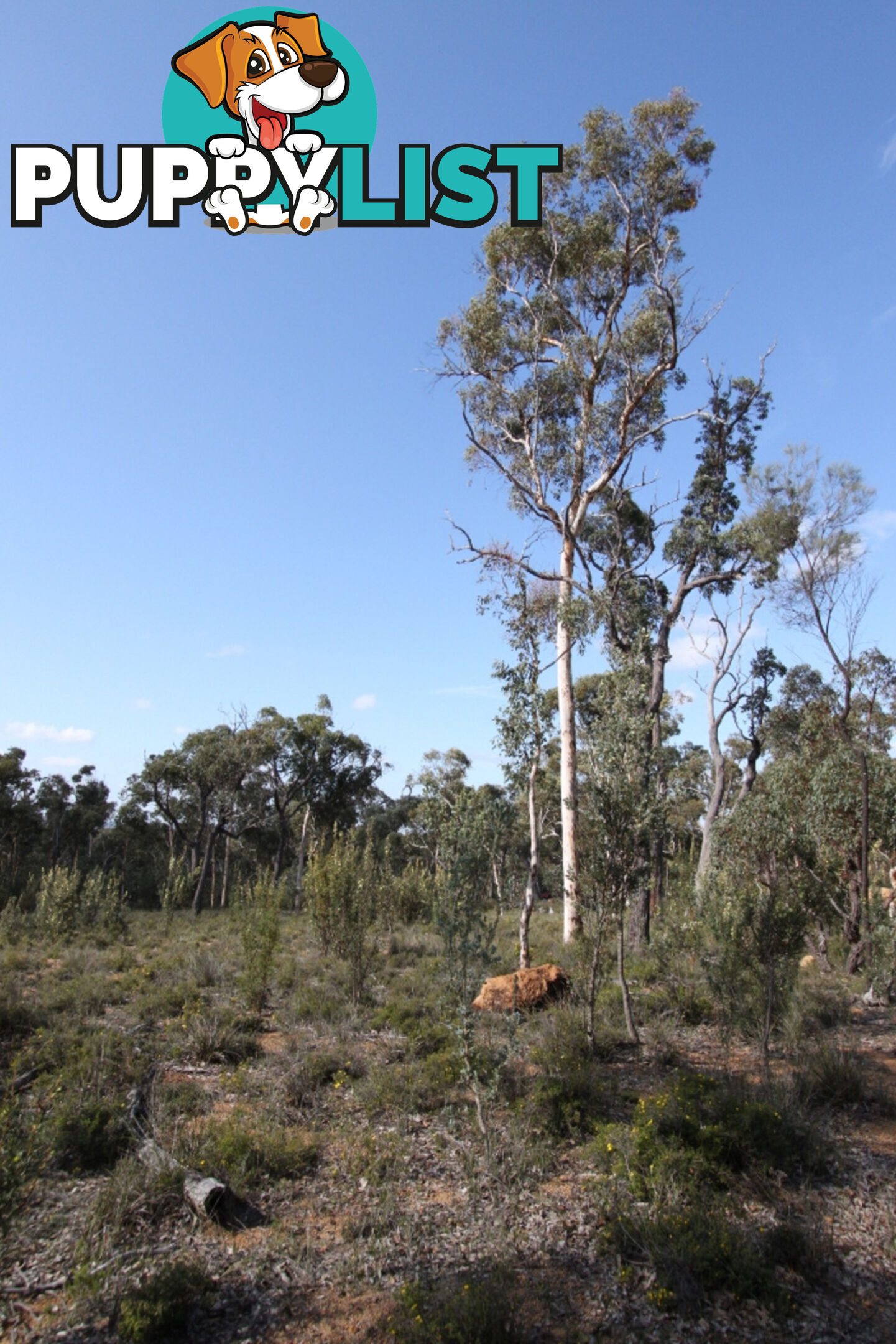 Lot 418 Woylie Rise BAKERS HILL WA 6562