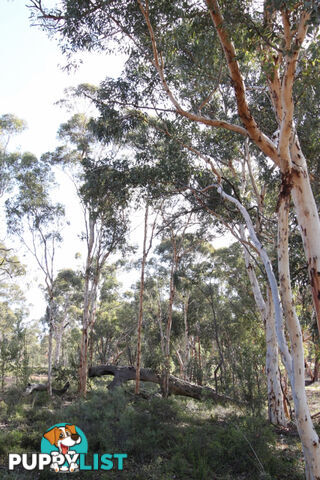 Lot 418 Woylie Rise BAKERS HILL WA 6562