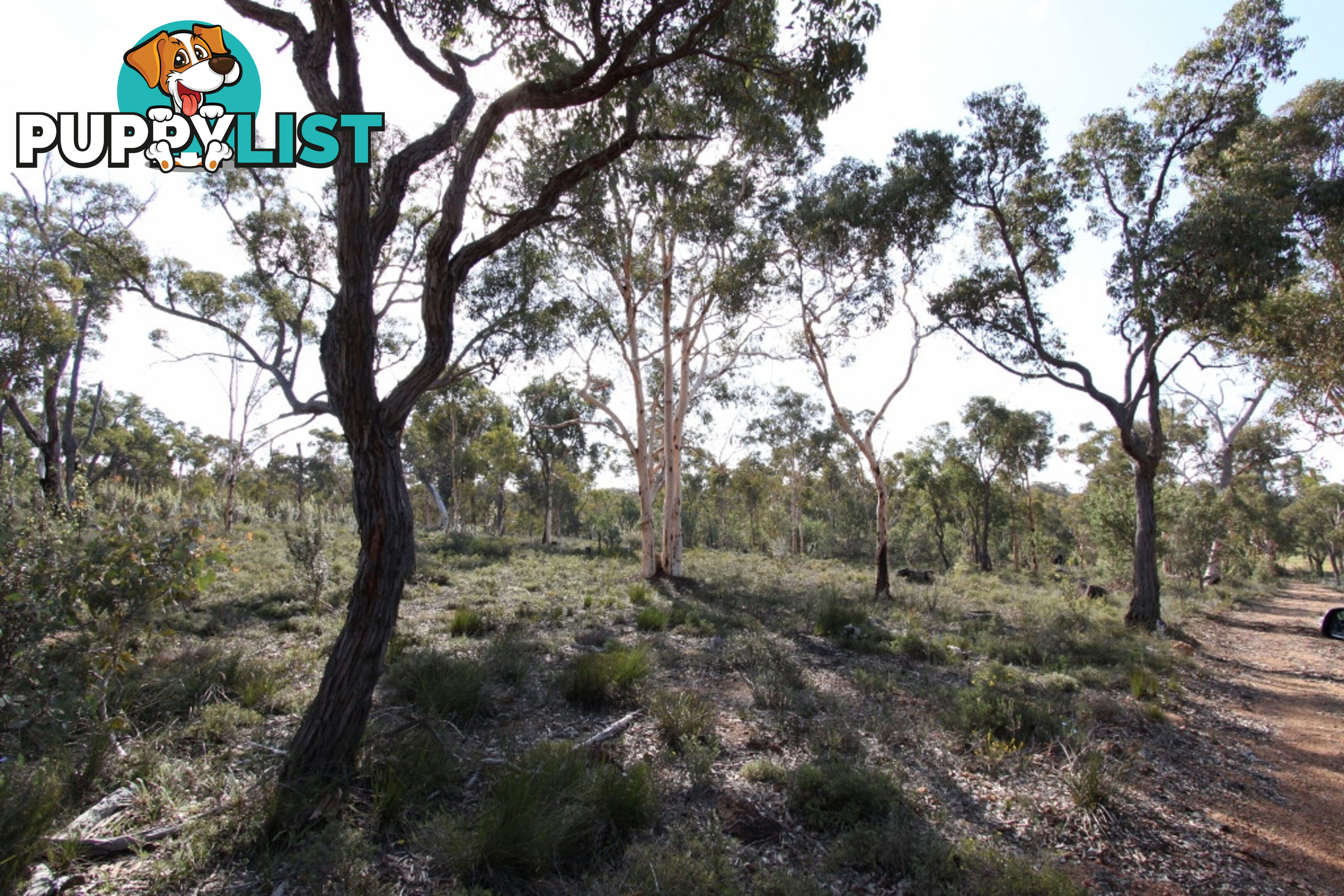 Lot 418 Woylie Rise BAKERS HILL WA 6562