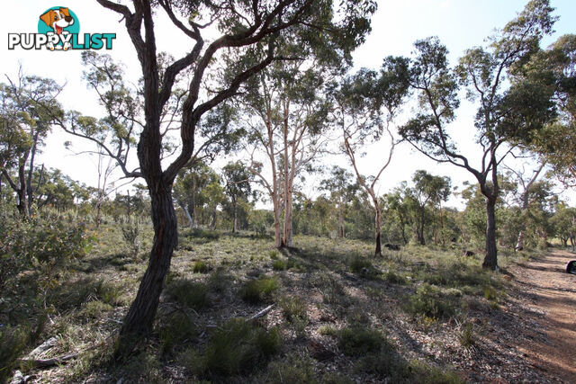 Lot 418 Woylie Rise BAKERS HILL WA 6562