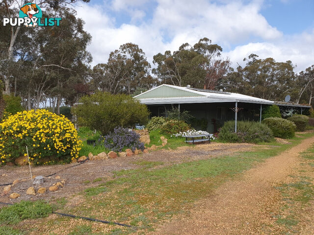 123 Gumtree Road BAKERS HILL WA 6562