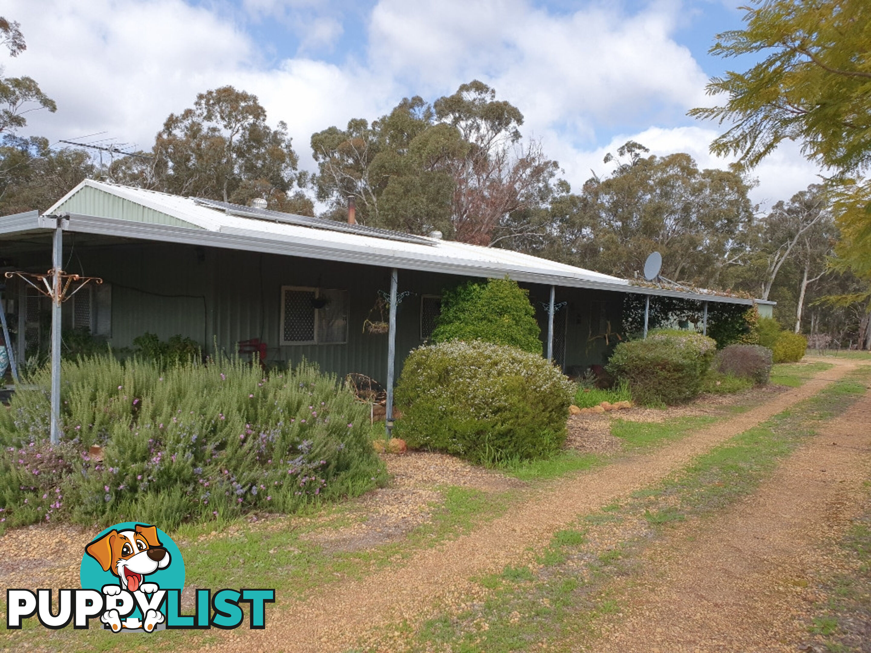 123 Gumtree Road BAKERS HILL WA 6562