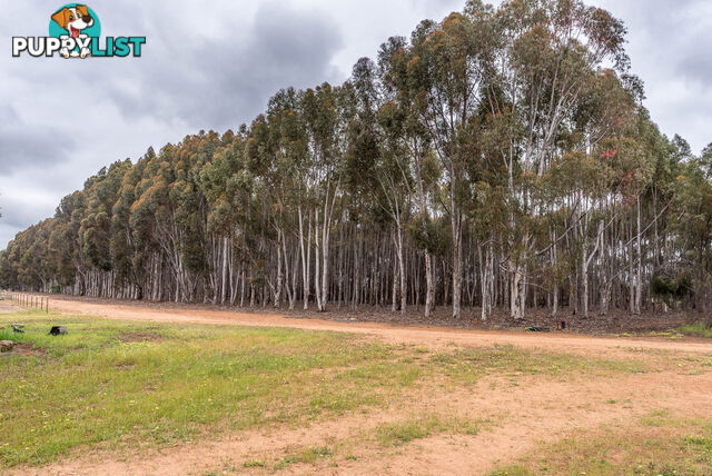 Lot 102 Refractory Road BAKERS HILL WA 6562