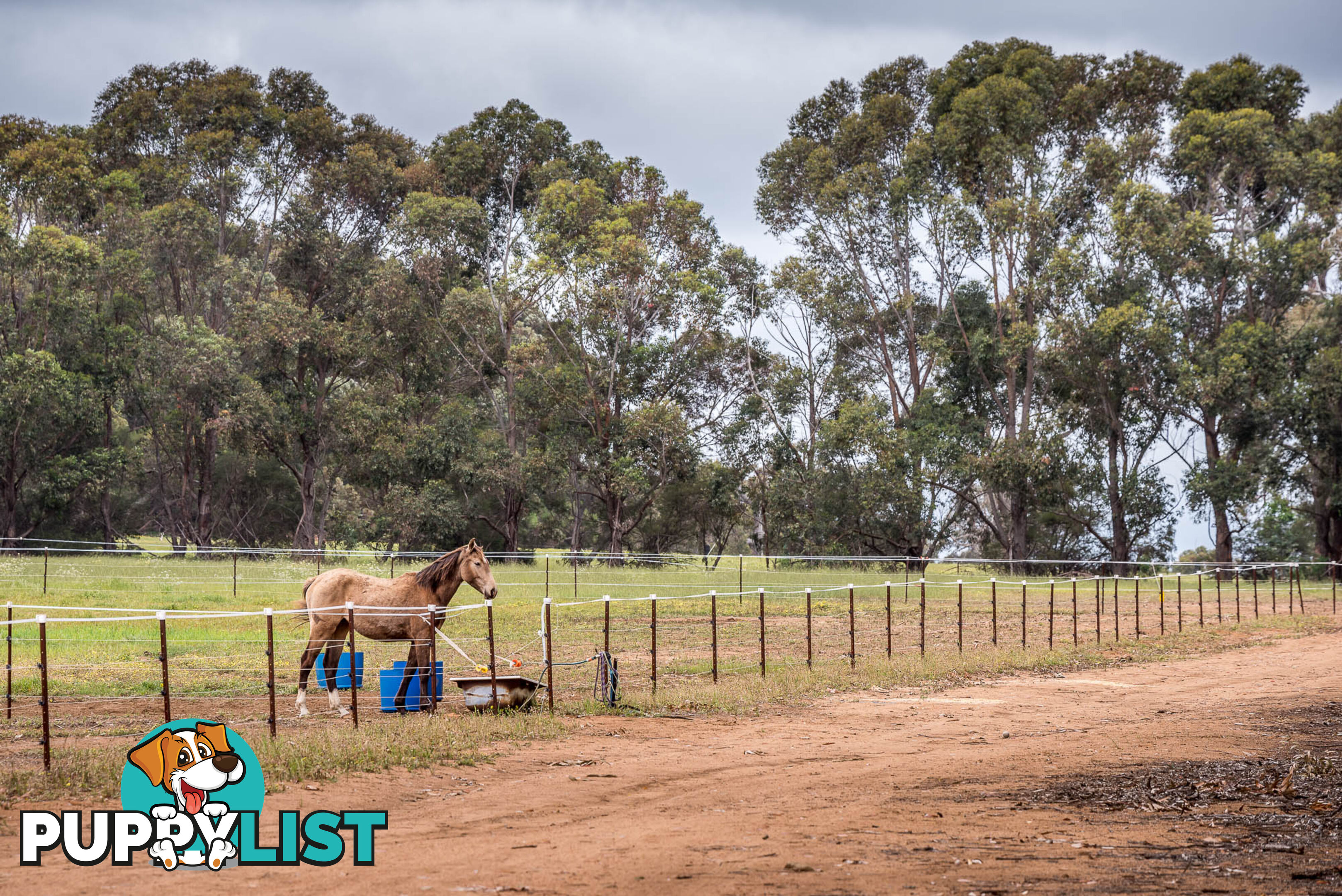 Lot 102 Refractory Road BAKERS HILL WA 6562