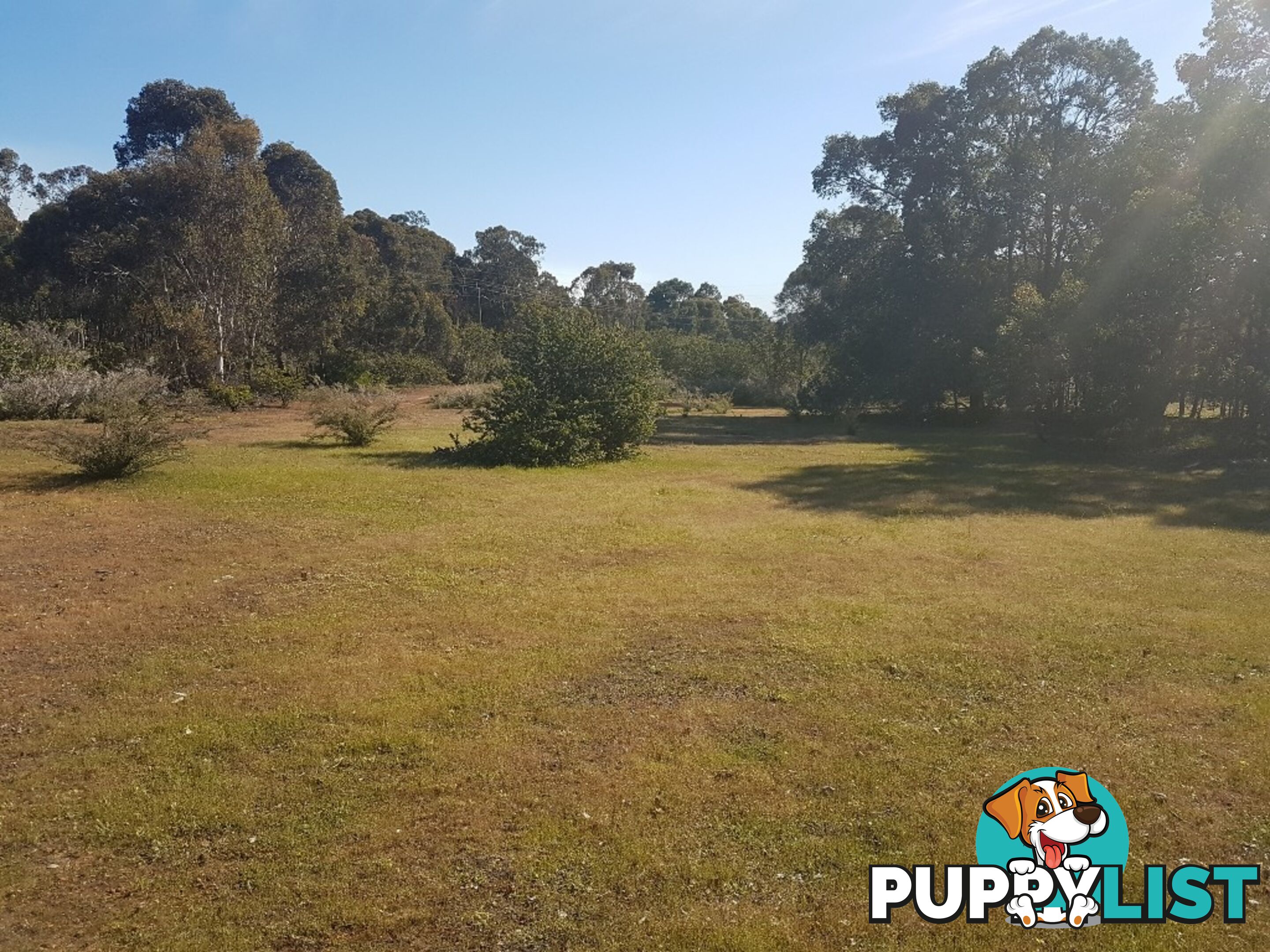 Lot 8 Gumley Road BAKERS HILL WA 6562