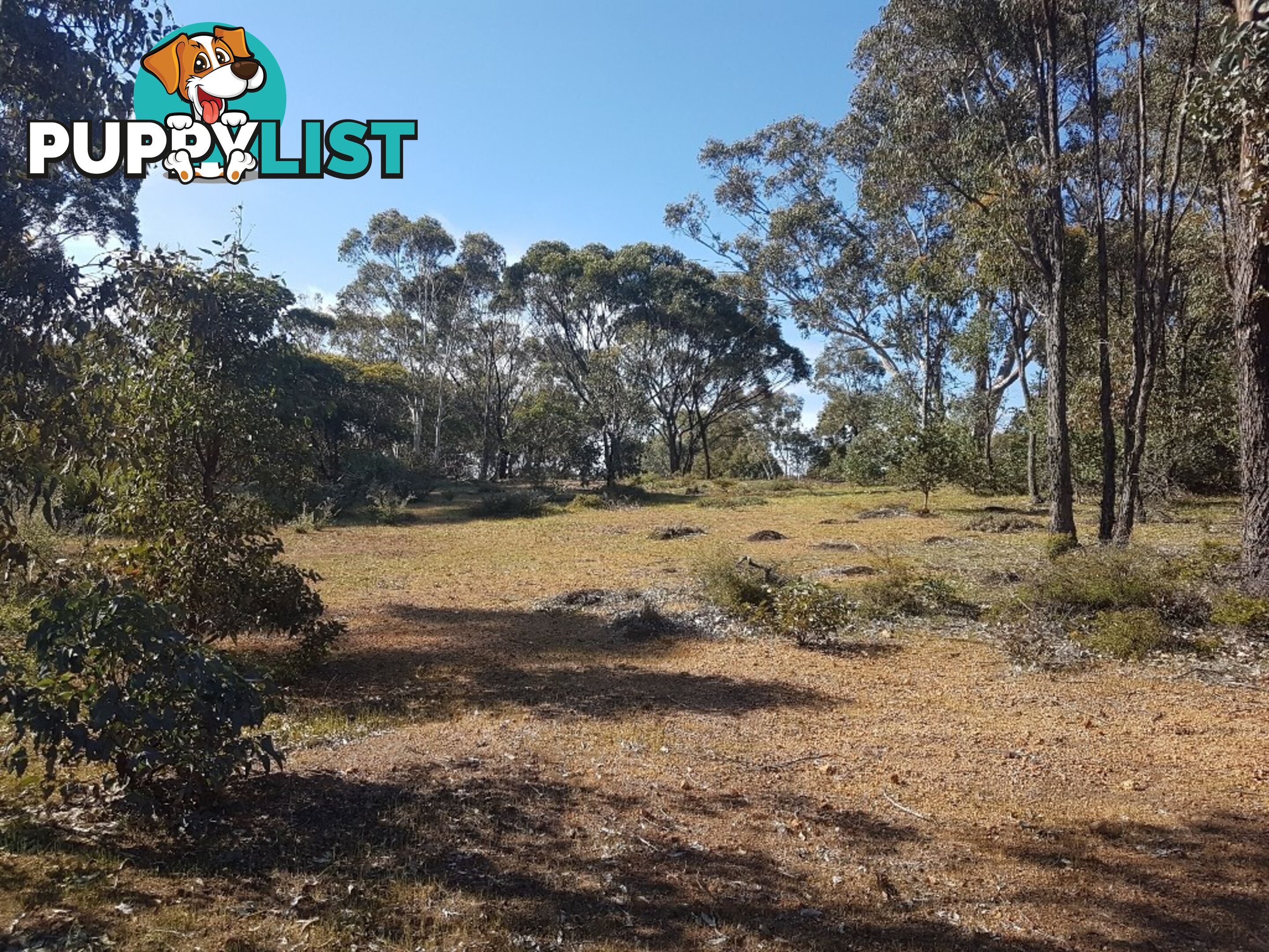 Lot 8 Gumley Road BAKERS HILL WA 6562