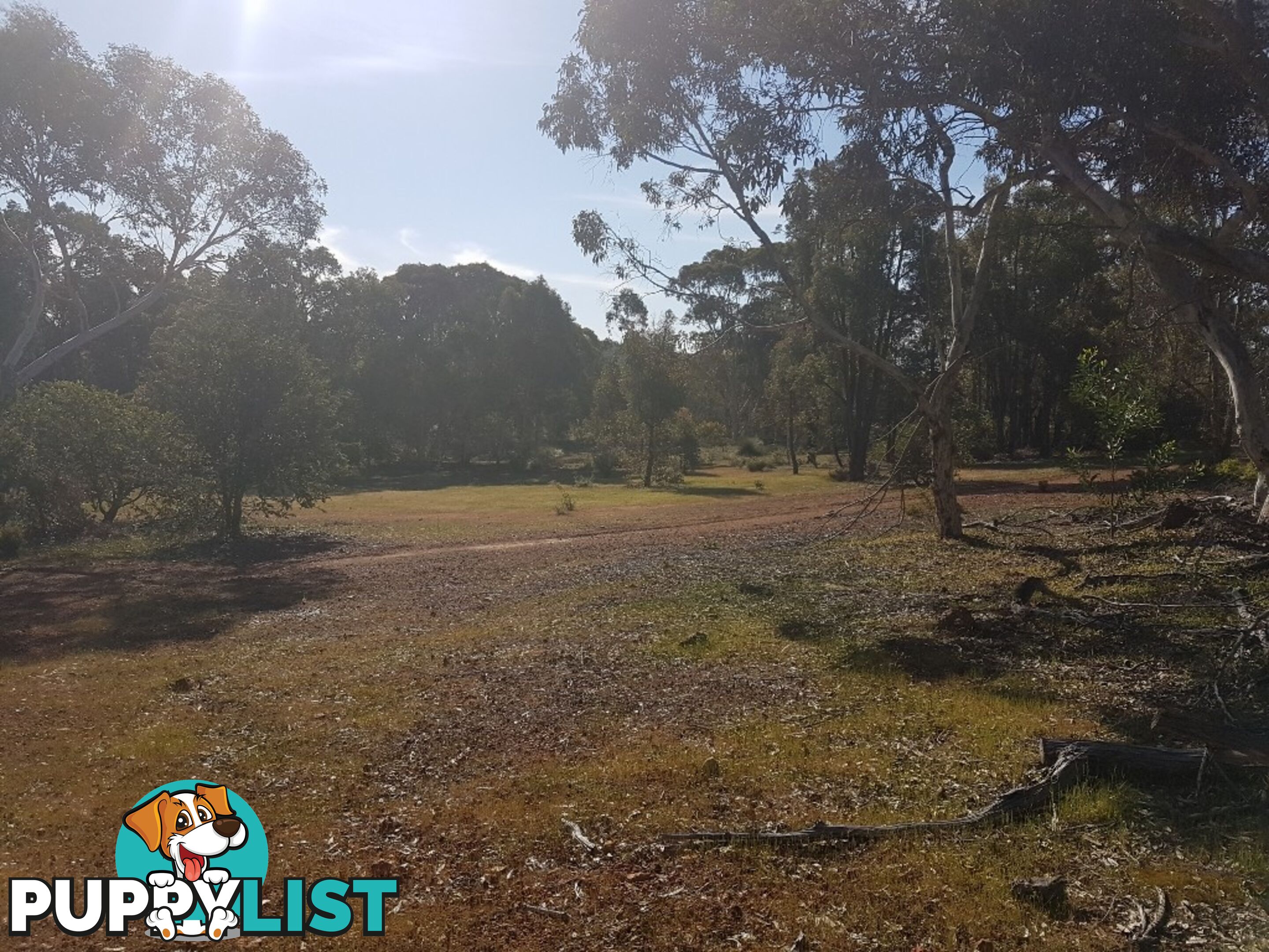 Lot 8 Gumley Road BAKERS HILL WA 6562