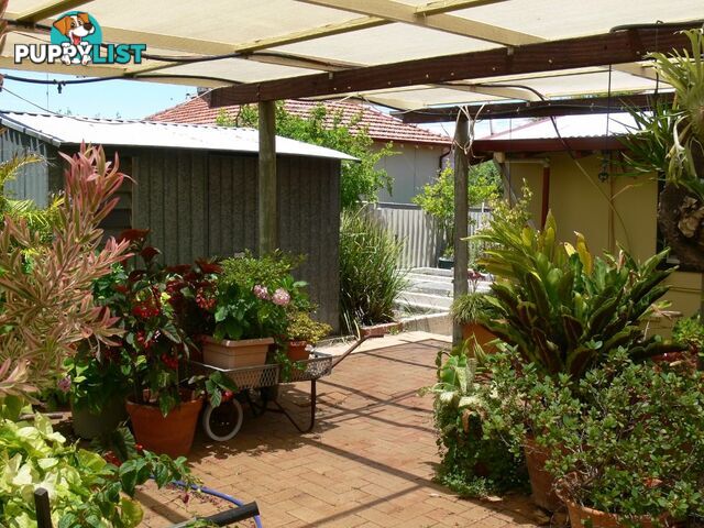 58 Hovea Crescent WUNDOWIE WA 6560