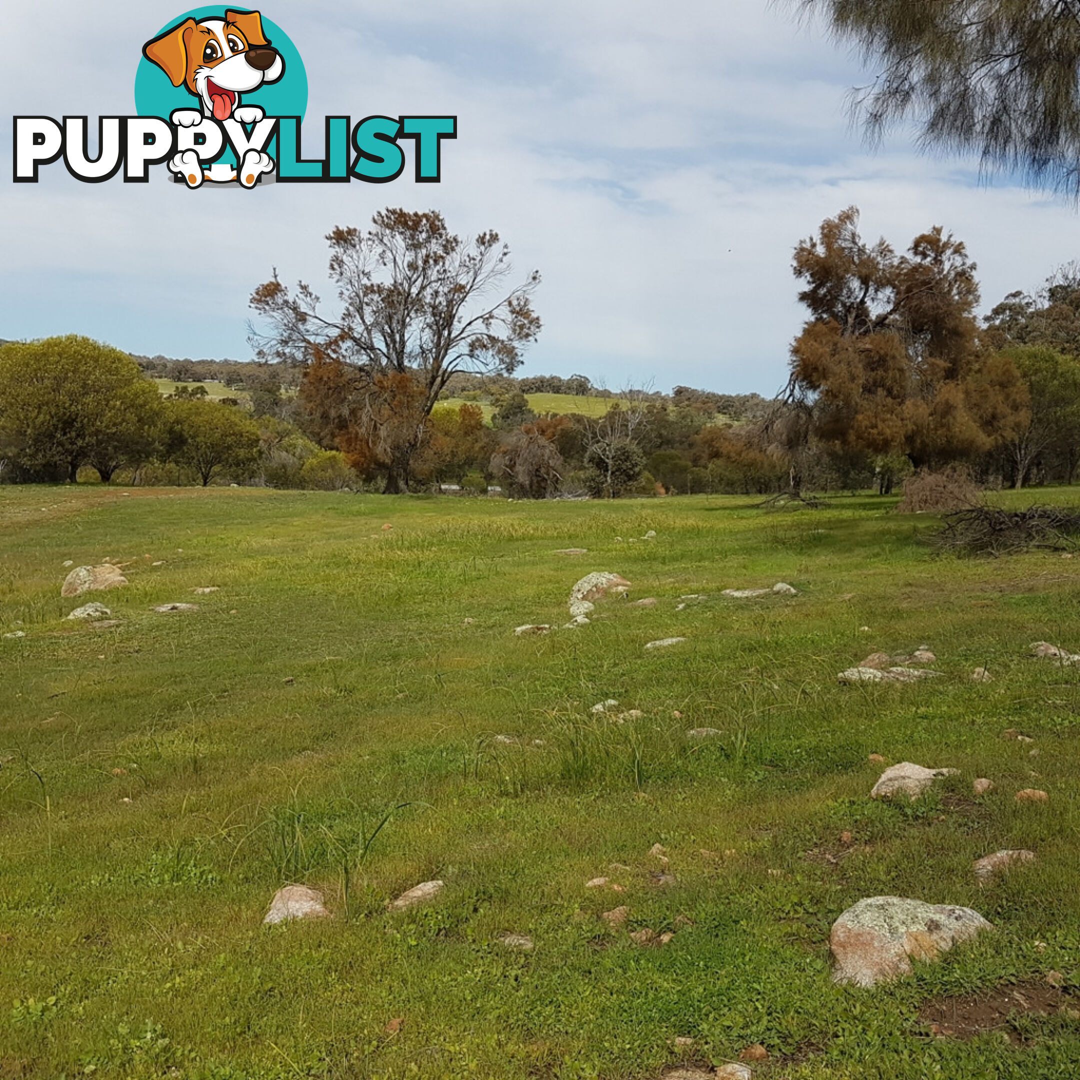 Lot 126 Hoggarth Road CLACKLINE WA 6564